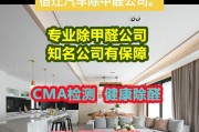 专业除甲醛公司的有效性揭秘（专业除甲醛公司能否真正消除室内甲醛污染）