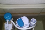 如何解决法恩莎马桶冲水无力问题（维修法恩莎马桶冲水无力的方法与技巧）