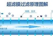 投影仪滤网水浸处理方法（如何正确处理投影仪滤网被水浸泡的情况）