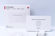 电源通网路由器的设置步骤是什么？是否需要专业技能？