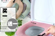 马桶坐垫套的替代品及使用建议（舒适卫生的马桶坐垫套替代品推荐及使用小贴士）