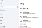 电脑上如何显示网速（掌握方法）