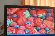 显示器面板烧掉的原因及解决方法（避免显示器面板损坏的关键措施）