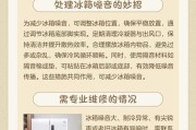 冰箱噪音大的原因及解决方法（探究冰箱噪音大的原因）