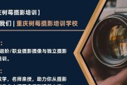 手机抗逆光拍照镜头怎么设置？如何拍出清晰照片？