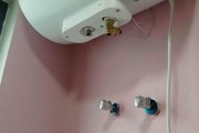 如何正确清洗热水器水管（掌握正确的清洗步骤）