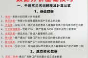 巨量千川数据分析（揭示数据王国的全貌）