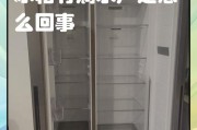 冰箱中水流不止的原因与解决方法（冰箱内水流问题的疑问与解答）