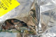 如何使用vivo手机进行定时开关机设置（轻松管理手机使用时间）