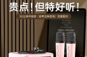 派扬低音炮唱歌功能如何调整？