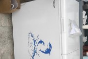 澳柯玛冰箱频繁闪烁响声的原因分析（解读澳柯玛冰箱异常闪烁响声的问题及解决方法）