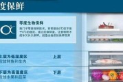 冰箱零度保鲜功能的必要性（提升食品保鲜效果）