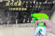 如何正确清洗油烟机的水加满方法（掌握正确的水加满技巧，让油烟机始终保持高效清洁）