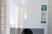 解决博世壁挂炉热水小问题的实用方法（让您的博世壁挂炉提供持久稳定的热水）