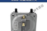 自动热水器风压开关故障及解决方法（自动热水器风压开关失灵的原因和修复技巧）