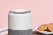哄娃智能音箱怎么选？选择标准和功能特点是什么？