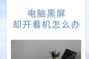 怎么钉住电脑屏幕软件不黑屏？钉屏软件如何防止屏幕黑屏？