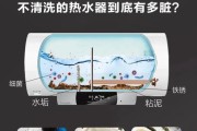 电热水器保养全攻略（让你的电热水器更加耐用）
