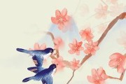 喜鹊电视品牌背景是什么？喜鹊电视的市场定位如何？