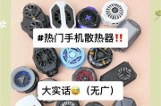 仁王推荐散热器使用方法是什么？使用中常见问题有哪些？