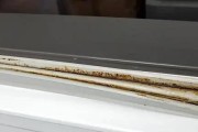 冰箱密封条发霉怎么办（冰箱密封条发霉）