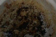 电饭煲为什么会糊了？（探究煮饭糊的原因及解决方案）