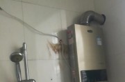 林热水器清洗方法（掌握清洗技巧）