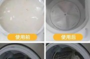 洗衣机垃圾槽和滚筒清洁的正确方法（保持洗衣机清洁）