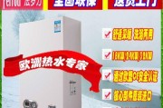 如何使用法罗力壁挂炉更省电（掌握省电技巧）