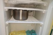 冰箱运输技巧（冰箱安全运输的关键知识）