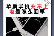 苹果智能充电器的正确使用方法是什么？