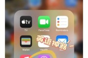 蓝基因软件怎么在iPhone上安装？下载过程中应注意什么？