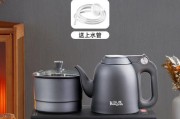 电磁炉烧水抽不上水怎么办（解决电磁炉无法抽水问题的实用方法）