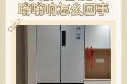 冰箱为什么会唧唧响？（探究冰箱噪音的原因和解决方法）