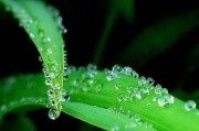 净水器出现绿色结晶的解决方法（清洁）