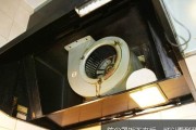 壁挂式油烟机内部清洗方法（轻松清洗）