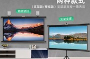 如何正确调整壁挂投影仪的方法（简单易学的壁挂投影仪调整技巧）