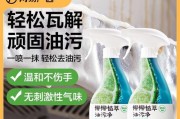 重油污抽油烟机清洗指南（彻底清洁油烟机，让厨房更清爽）
