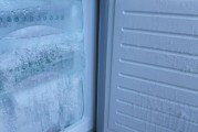冰箱后面水流出的原因及解决方法（解析冰箱后面水流出的原因）