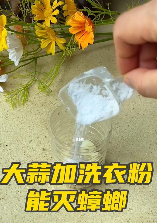 洗衣机蟑螂问题解决方法（如何有效消灭洗衣机中的蟑螂）