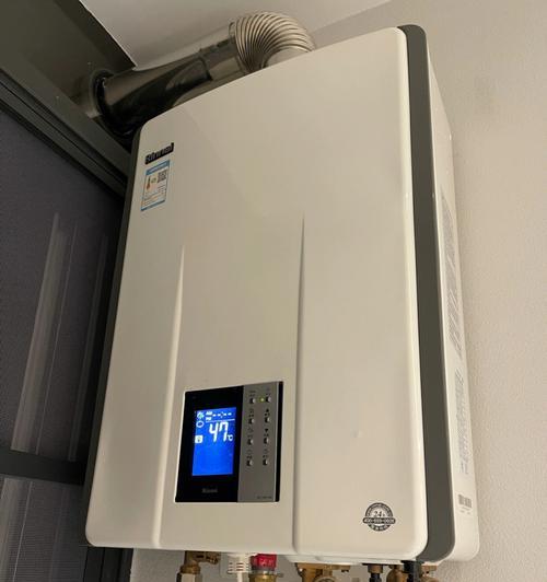 燃气热水器拆探头方法（轻松学会燃气热水器拆探头的技巧）