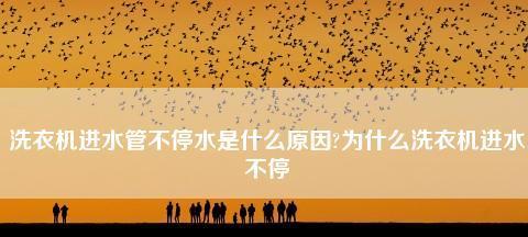 夏普洗衣机进水不停的原因及解决方法（揭秘夏普洗衣机进水不停的根本原因）