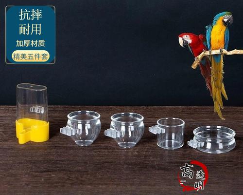 饮水机中出现小虫的原因与解决办法（了解饮水机中小虫的来源）