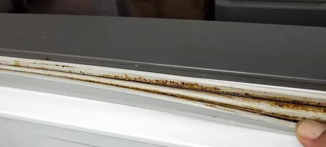 冰箱密封条发霉怎么办（冰箱密封条发霉）