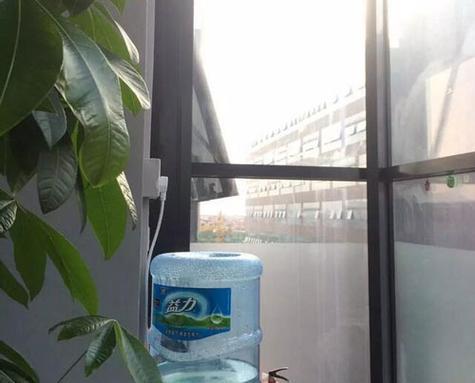 解决净水器水里绿苔问题的有效方法（了解净水器水里出现绿苔的原因及危害）