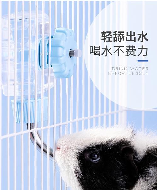 仓鼠饮水机的选择和维护（便捷）