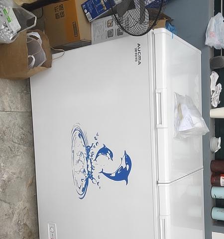澳柯玛冰箱频繁闪烁响声的原因分析（解读澳柯玛冰箱异常闪烁响声的问题及解决方法）