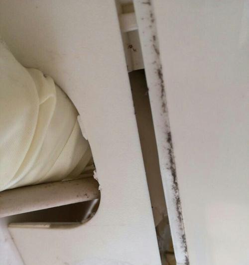如何快速清洗堵塞的空调水槽（清洗空调水槽的简单方法）