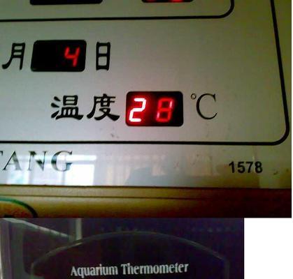 喷码打印机喷头温度故障及解决办法（探索喷码打印机喷头温度异常的原因和应对措施）