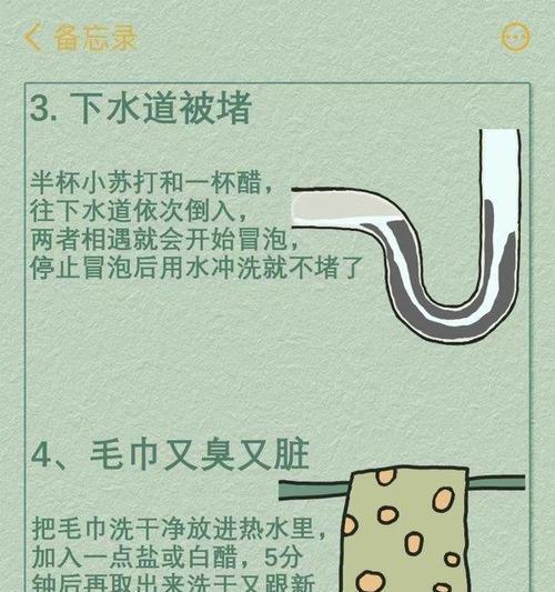 冰箱里有小飞虫，如何解决（冰箱清洁和预防小飞虫的有效方法）